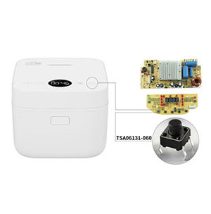 TSW06151-080 In Wireless Remote Transmission Membrane Gas Meter
